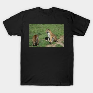 Tiger Cubs T-Shirt